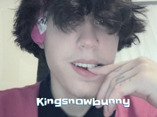 Kingsnowbunny