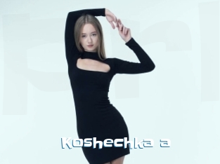 Koshechka_a