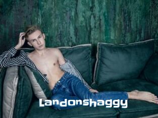 Landonshaggy