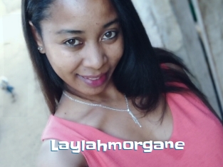 Laylahmorgane