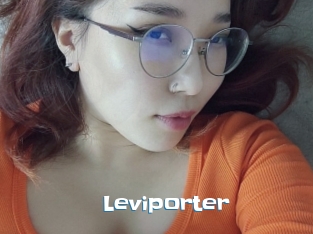 Leviporter