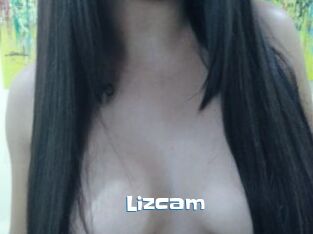 Lizcam