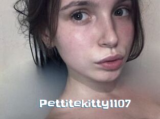 Pettitekitty1107