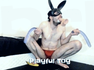 Playful_Toy