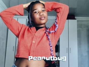 Peanutbug