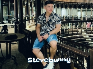 Stevebunny