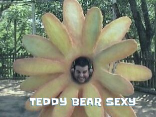 TEDDY_BEAR_SEXY