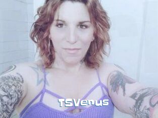 TS_Venus