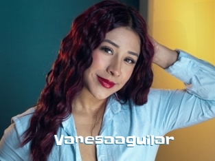 Vanesaaguilar