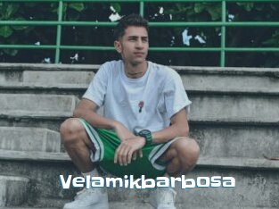 Velamikbarbosa