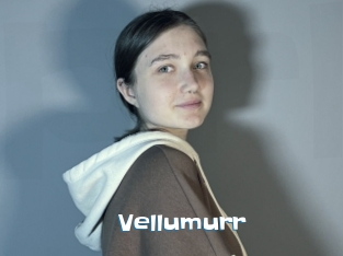 Vellumurr