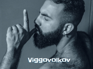 Viggovolkov