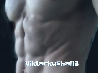 Viktarkushal13