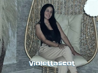 Violettascot