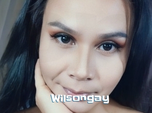 Wilsongay