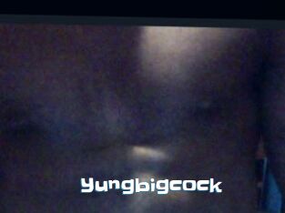 Yungbigcock