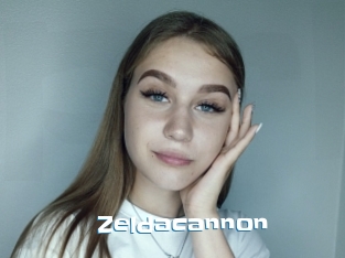 Zeldacannon